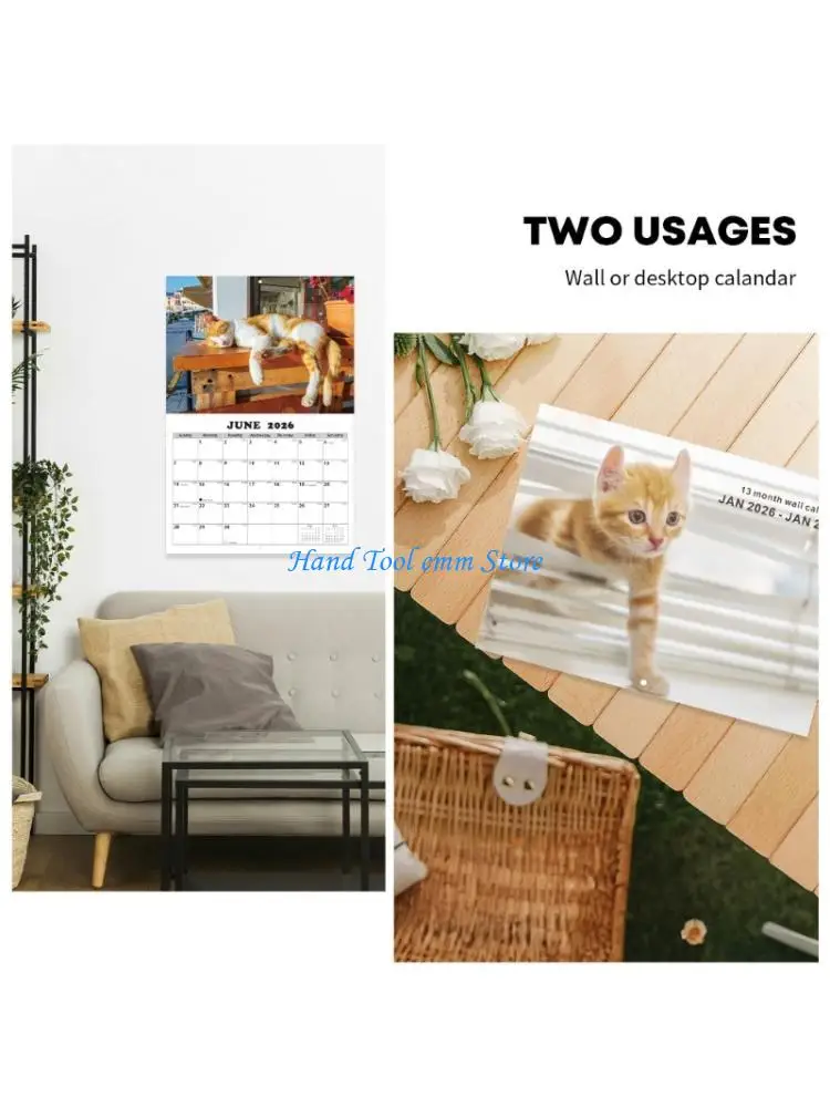 H37F 2026 Cats Theme Wall Hanging Calendar Sturdy Hook Included For Wall Display
H37F 2026 Cats Theme Wall Hanging Calendar Sturdy Hook Included For Wall Display