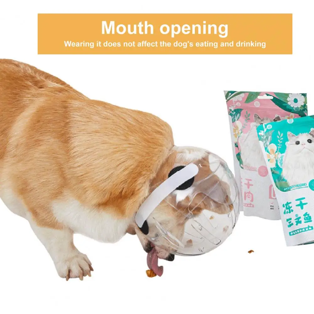 Anti-bite Pet Helmet Heat Dissipation Pet Hood Adjustable Pet Muzzle Breathable Cat Dog Helmet Comfortable for Cats for Pet
Anti-bite Pet Helmet Heat Dissipation Pet Hood Adjustable Pet Muzzle Breathable Cat Dog Helmet Comfortable for Cats for Pet