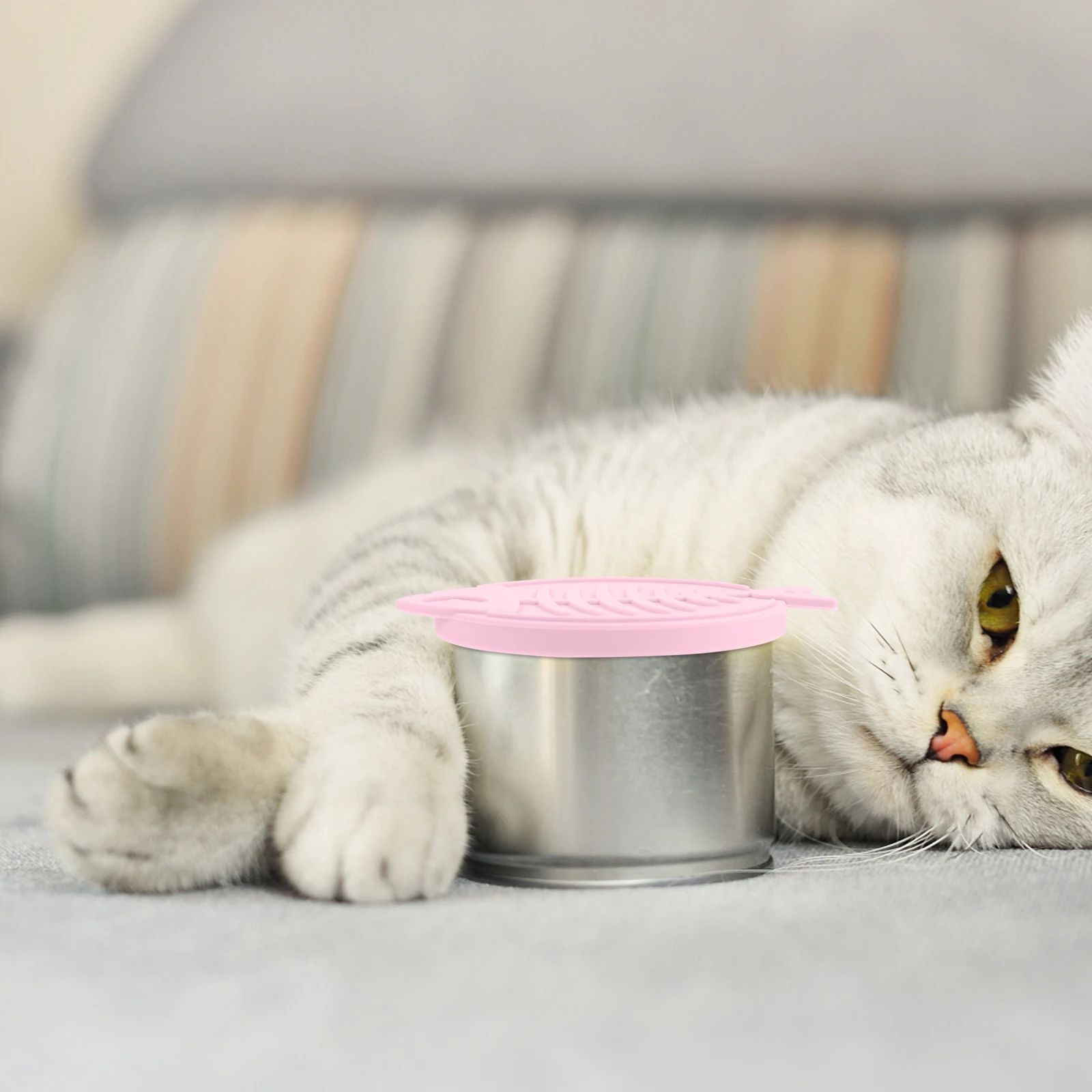 1 set Silicone Pet Can Lids Food Covers Flexible Dishwasher Safe Easy Open Fresh Longer Cat Bowl Dog Food Seal Cover for Can
1 set Silicone Pet Can Lids Food Covers Flexible Dishwasher Safe Easy Open Fresh Longer Cat Bowl Dog Food Seal Cover for Can