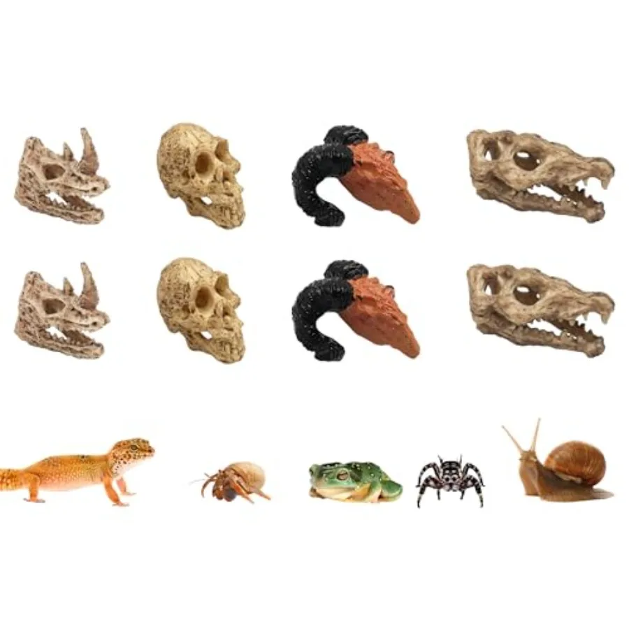8 Pcs Mini Animal Skull Statues Realistic Resin Skeleton Head Decor for Reptile Habitat Aquarium Terrarium Tank Accessories for
8 Pcs Mini Animal Skull Statues Realistic Resin Skeleton Head Decor for Reptile Habitat Aquarium Terrarium Tank Accessories for
