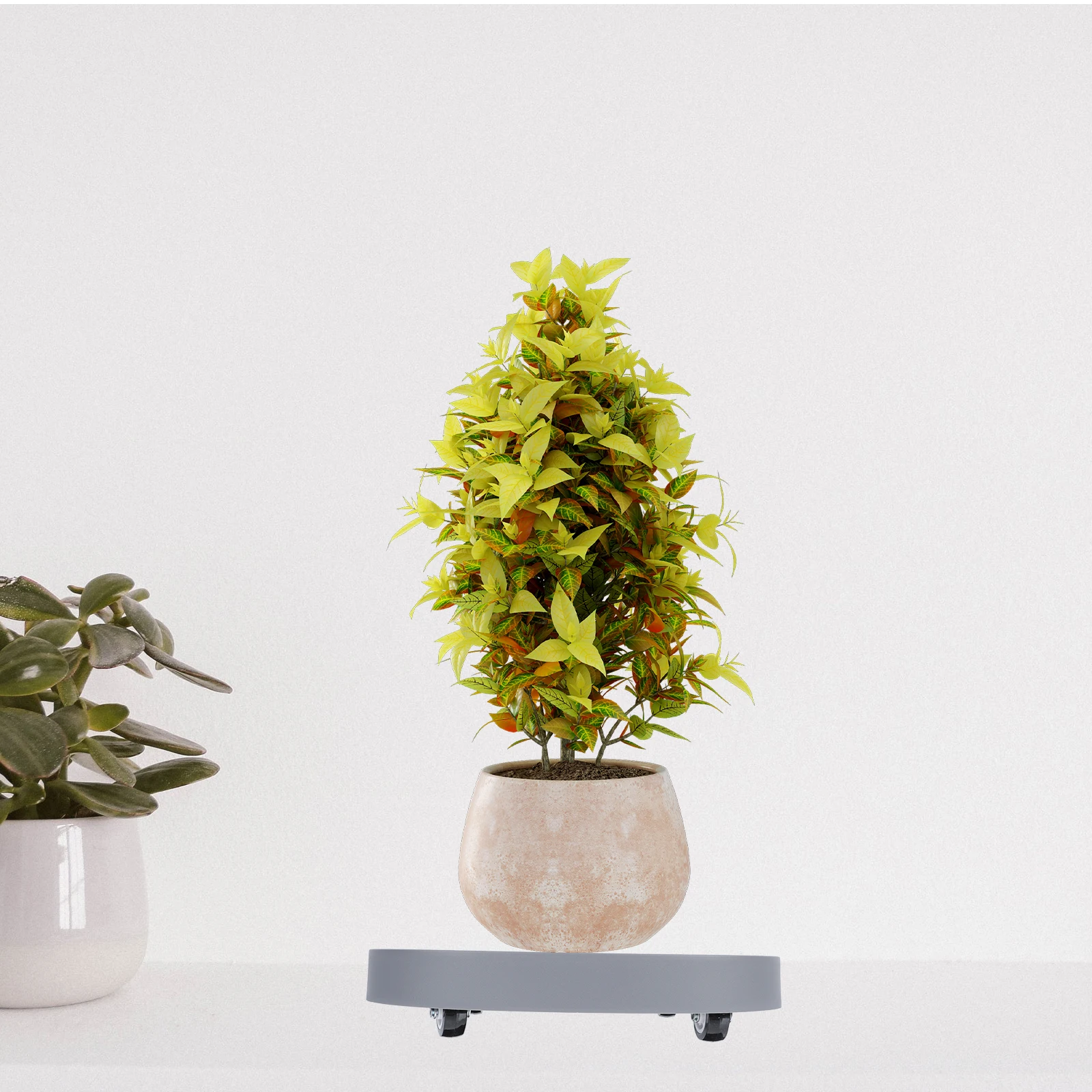 1pc Universal Wheel Flower Pot Base Indoor Movable Thickened Plastic Floor Planter Stand Smooth Wheels Easy Clean Tidy Home 
1pc Universal Wheel Flower Pot Base Indoor Movable Thickened Plastic Floor Planter Stand Smooth Wheels Easy Clean Tidy Home