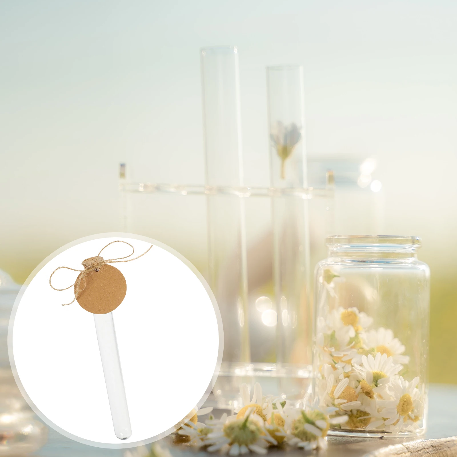 Test Tube Set Kids Tubes Reusable Empty Plastic with Cork for Crafts Lids Candy
Test Tube Set Kids Tubes Reusable Empty Plastic with Cork for Crafts Lids Candy