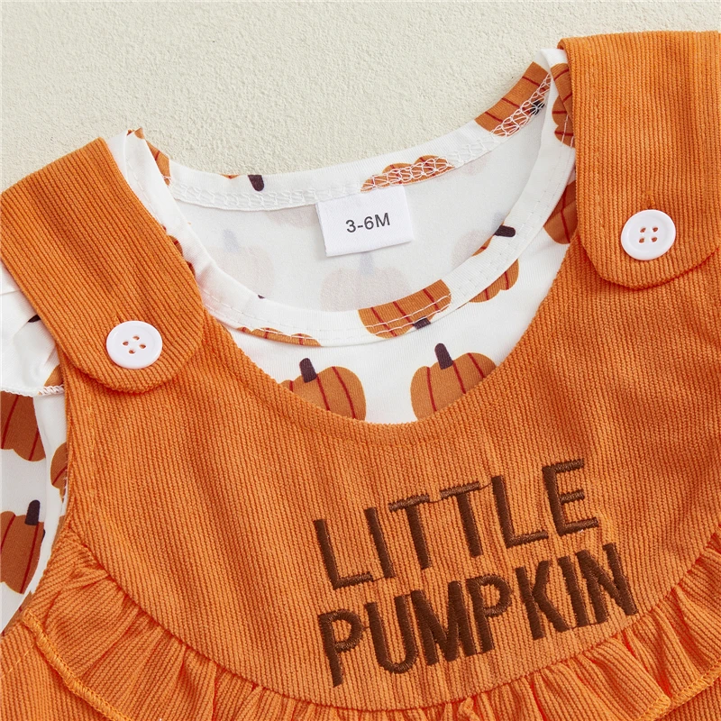 Toddler Baby Girl Halloween Clothes Outfit Pumpkin/Ghost Ruffle Long Sleeve Romper Overall Dress 2 Piece Set
Toddler Baby Girl Halloween Clothes Outfit Pumpkin/Ghost Ruffle Long Sleeve Romper Overall Dress 2 Piece Set