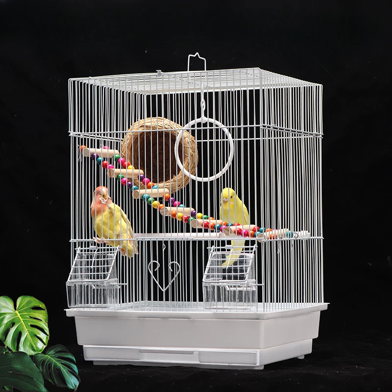 Parrot Hummingbird Birds Cage Chinchilla Nesting Chicken Outdoors Birds Cage Hammocks Voliera Uccelli Birdcage Accessories
Parrot Hummingbird Birds Cage Chinchilla Nesting Chicken Outdoors Birds Cage Hammocks Voliera Uccelli Birdcage Accessories
