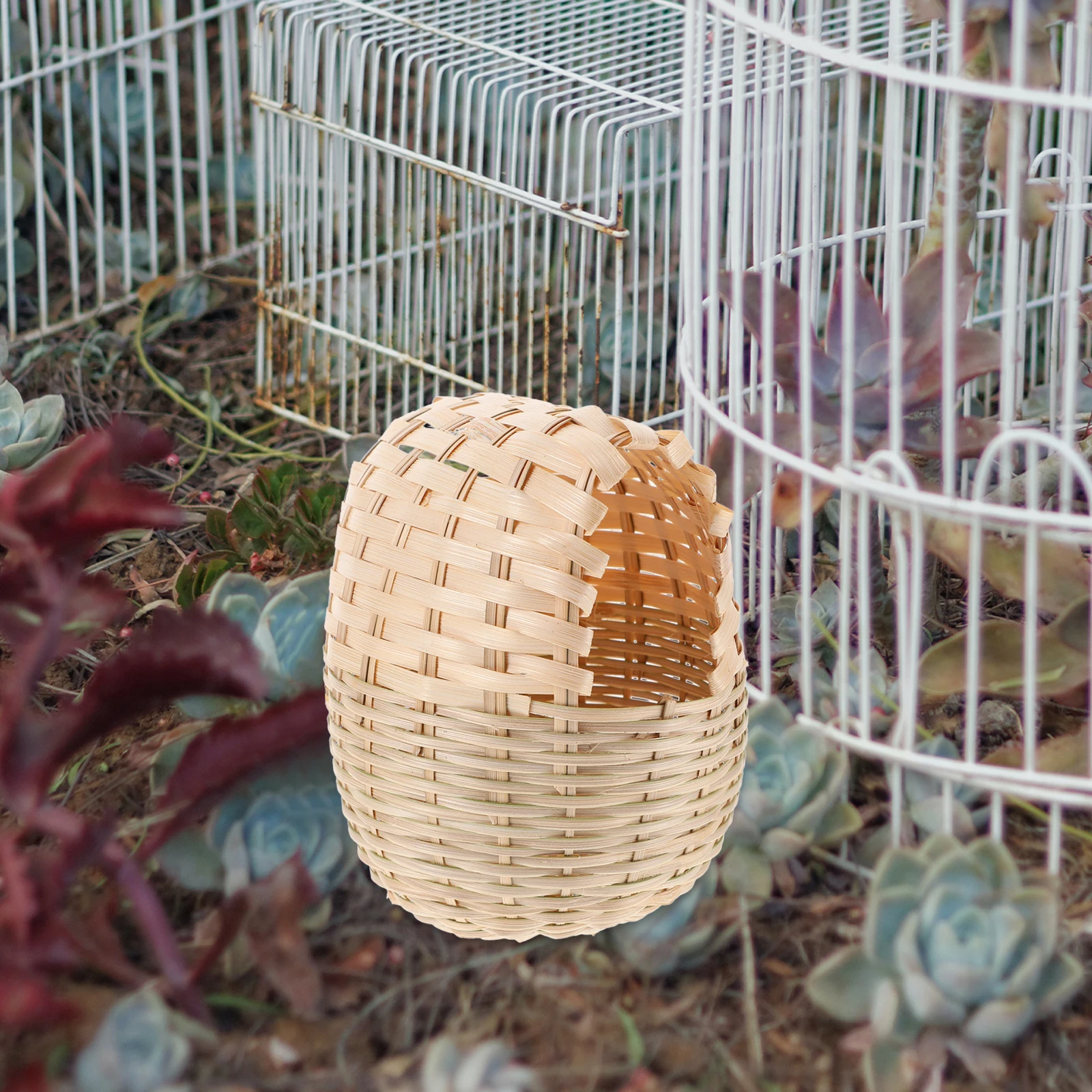 Stylish Woven Bamboo For Small Birds Cage Decoration Rustic Nesting Place House Decorative Resting Spot Outdoor Garden
Stylish Woven Bamboo For Small Birds Cage Decoration Rustic Nesting Place House Decorative Resting Spot Outdoor Garden