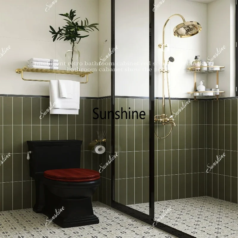 French retro toilet hotel bathroom siphon black toilet
French retro toilet hotel bathroom siphon black toilet