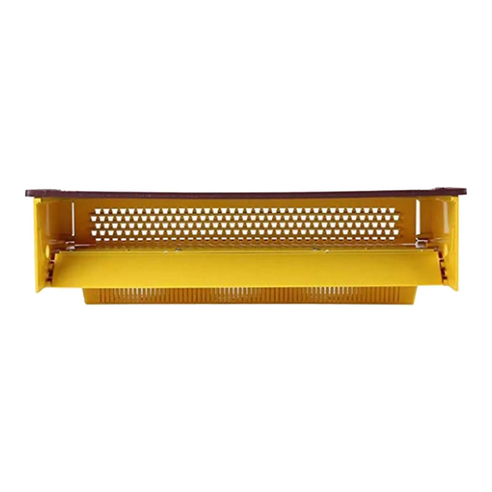 Plastic Bee Pollen Trap Removable Pollen Tray Collector 39×14×10cm Durable
Plastic Bee Pollen Trap Removable Pollen Tray Collector 39×14×10cm Durable