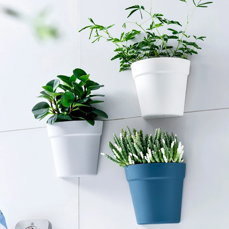 Wall Mounted Plastic Potted Plant Flowerpot Creative Wall Hanging Semi Circular Small Flower Pot Wall Decoration
Wall Mounted Plastic Potted Plant Flowerpot Creative Wall Hanging Semi Circular Small Flower Pot Wall Decoration