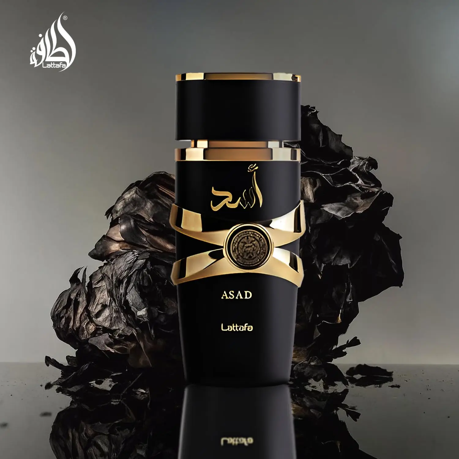 Asad Eau de Parfum, Long Lasting Woody Aromatic Arabian Fragrance, 100ml Dubai Perfume
Asad Eau de Parfum, Long Lasting Woody Aromatic Arabian Fragrance, 100ml Dubai Perfume