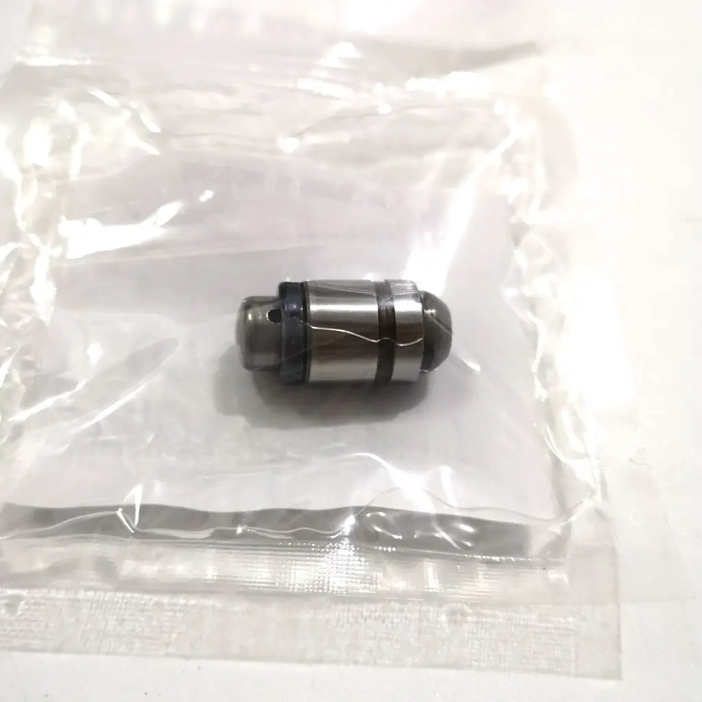 For Mitsubishi Pajero V33 V43 V31 V73 Valve Lifters Valve Hydraulic Tappets
For Mitsubishi Pajero V33 V43 V31 V73 Valve Lifters Valve Hydraulic Tappets