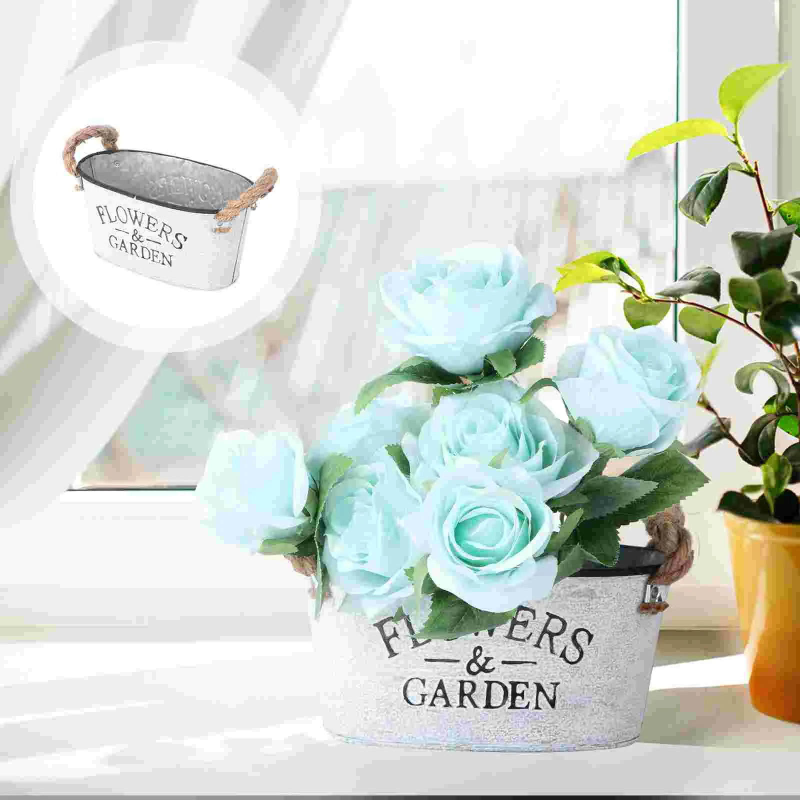 Succulent Plant Pots Elegant Flower Holder Garden Home Decoration Fashion Decorative Iron
Succulent Plant Pots Elegant Flower Holder Garden Home Decoration Fashion Decorative Iron