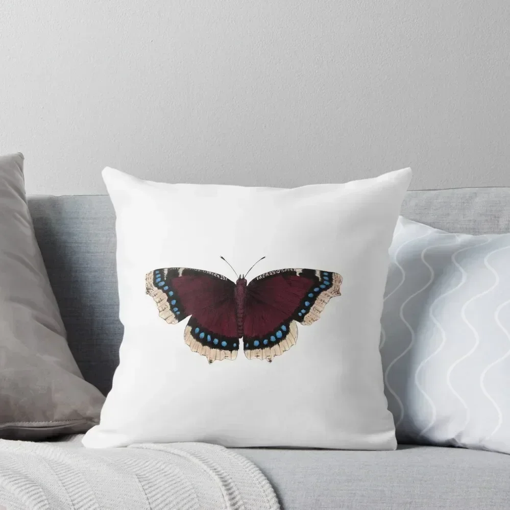 Mourning Cloak (Nymphalis antiopa) Throw Pillow christmas decorations 2025 Christmas Pillow Cases pillow
Mourning Cloak (Nymphalis antiopa) Throw Pillow christmas decorations 2025 Christmas Pillow Cases pillow