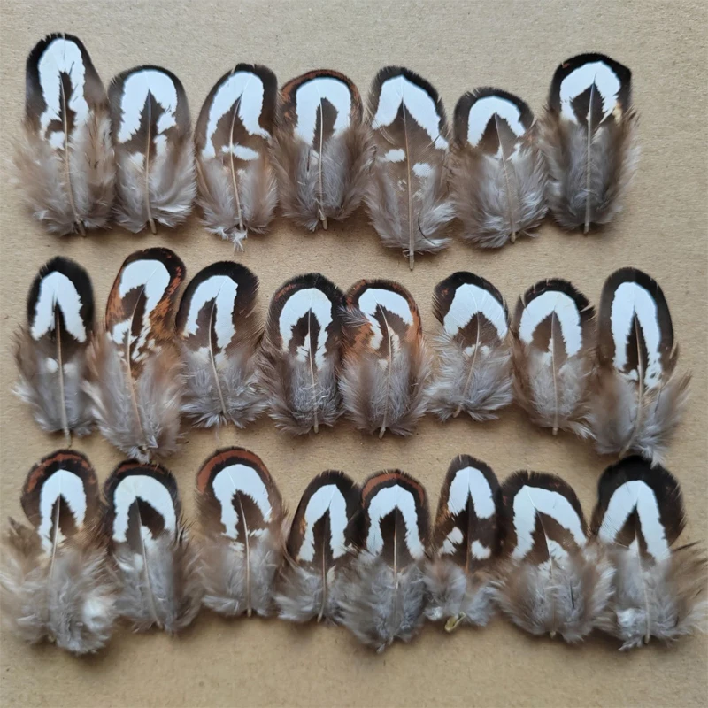 100Pcs/Lot! 3.5-5cm Long Small BLACK&WHITE REEVES PHEASANT FEATHERS PLUMAGE Feathers,Nature Cheap Reeves Pheasant Feathers
100Pcs/Lot! 3.5-5cm Long Small BLACK&WHITE REEVES PHEASANT FEATHERS PLUMAGE Feathers,Nature Cheap Reeves Pheasant Feathers