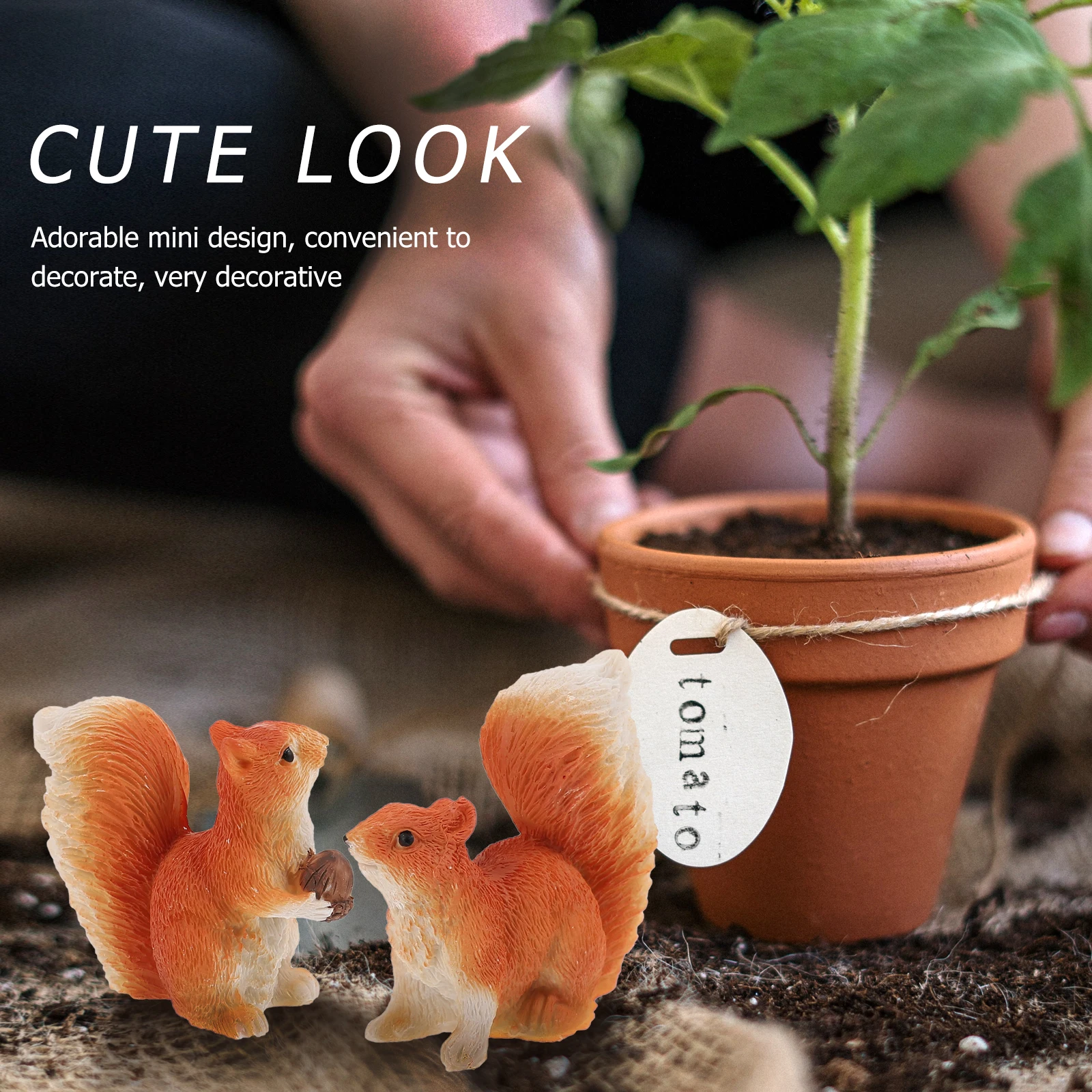 10Pcs Miniature Squirrel Figure Adorable Sturdy Micro Decoration Flower Pot Garden Landscape Ornament Premium Creative Mini
10Pcs Miniature Squirrel Figure Adorable Sturdy Micro Decoration Flower Pot Garden Landscape Ornament Premium Creative Mini