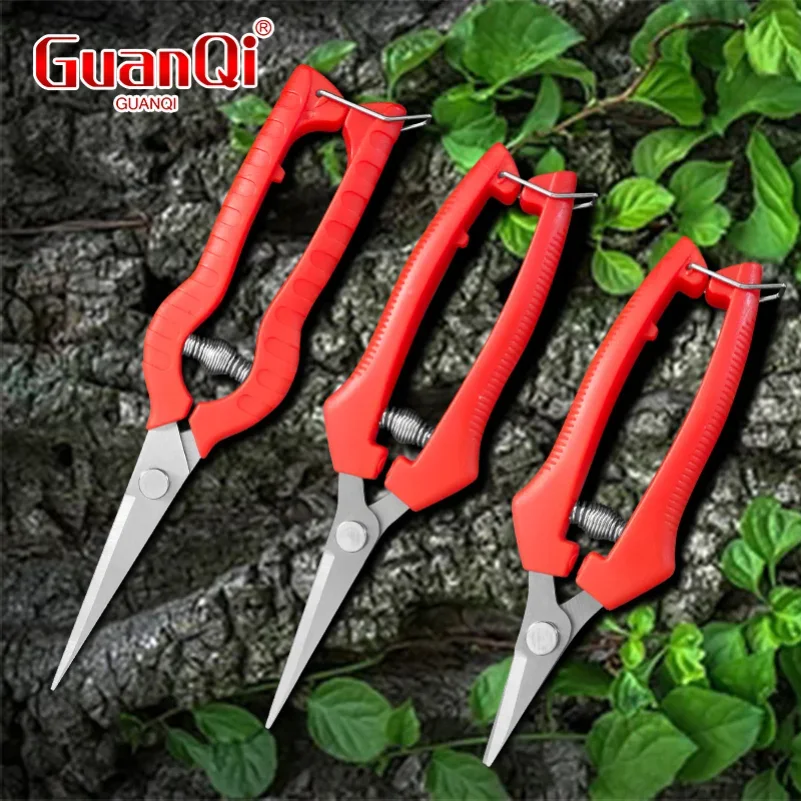 Garden Pruning Shears Potted Branches Scissors Fruit Picking Small Scissors Non Slip Handle Garden Fruit Tree Trimming Tools
Garden Pruning Shears Potted Branches Scissors Fruit Picking Small Scissors Non Slip Handle Garden Fruit Tree Trimming Tools