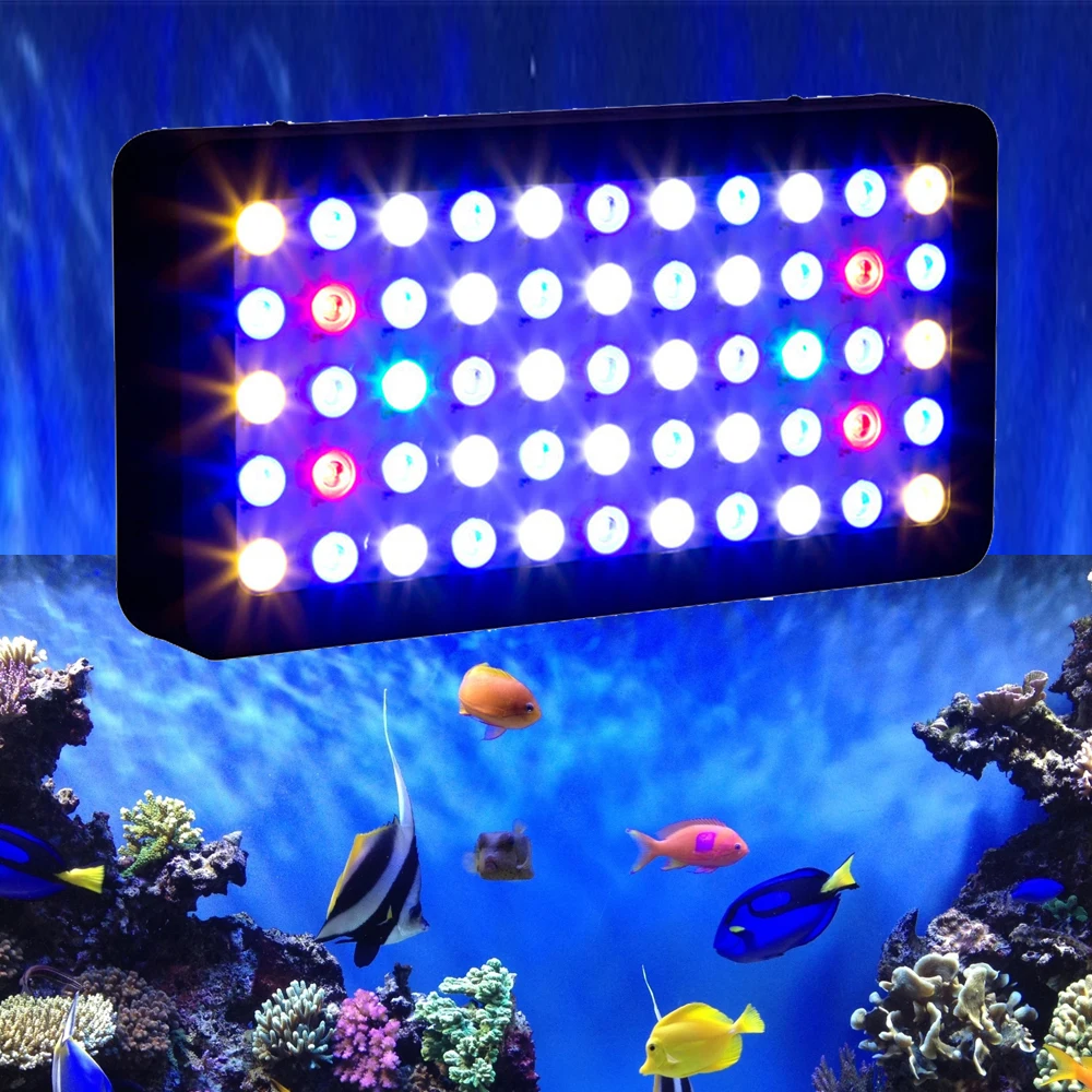 Programmable LED Light for Aquarium for Coral Reef and Fish Plant Growing and Bloom Enhancement
Programmable LED Light for Aquarium for Coral Reef and Fish Plant Growing and Bloom Enhancement