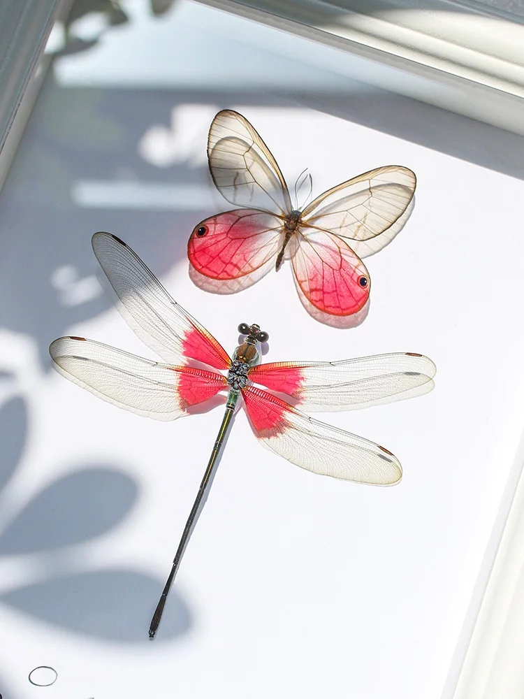 Red Base Color Dragoy Specimen High Aesthetic Animal Display Frame Decoration for Girlfriend Simple Modern Sle
Red Base Color Dragoy Specimen High Aesthetic Animal Display Frame Decoration for Girlfriend Simple Modern Sle