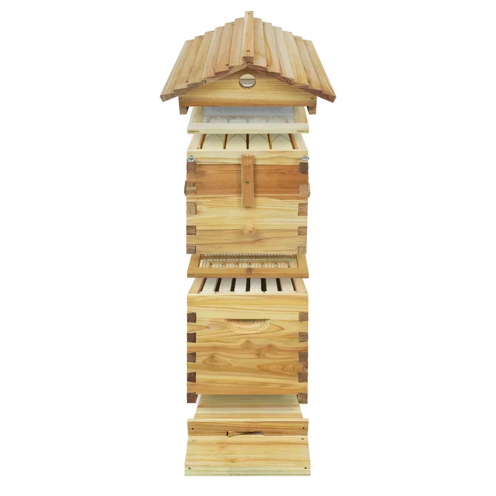 Автоматический струящийся улей, полный комплект, коробки для пчелиных геев, стартовый комплект, деревянный пчеловодский дом, коробки для улья, прочная рамка
Автоматический струящийся улей, полный комплект, коробки для пчелиных геев, стартовый комплект, деревянный пчеловодский дом, коробки для улья, прочная рамка