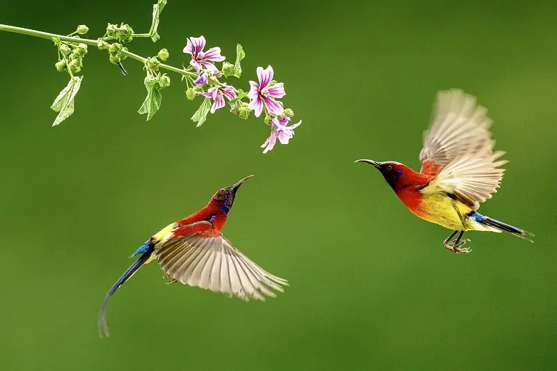 206E 1:10 4WD Monster Truck — 2,4G, 50-60 км/ч, RTR для возраста 14+
206E 1:10 4WD Monster Truck — 2,4G, 50-60 км/ч, RTR для возраста 14+