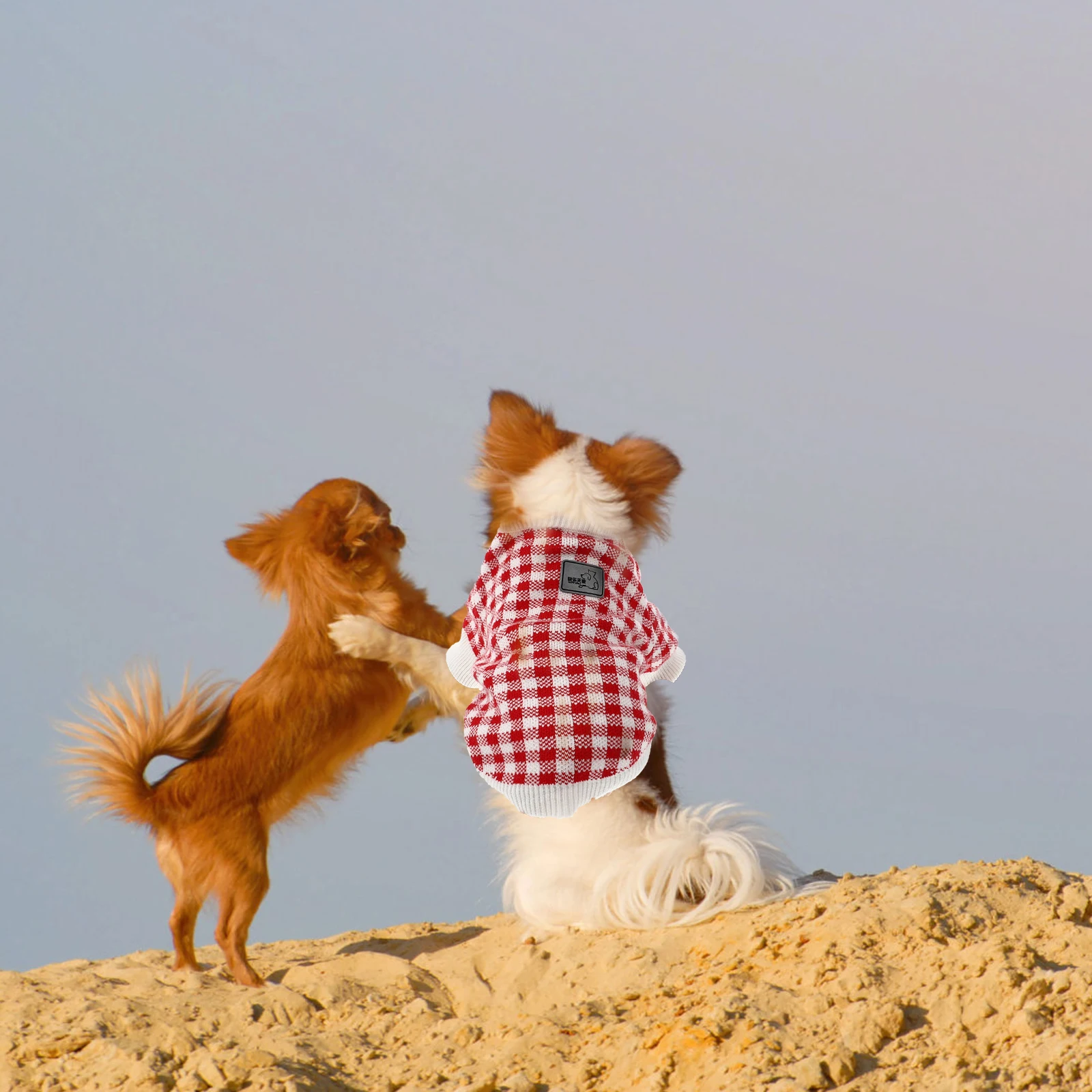 Party Dog Warm Sweater Sweaters Pet Clothing Costumes Cotton Winter Vacation Small
Party Dog Warm Sweater Sweaters Pet Clothing Costumes Cotton Winter Vacation Small