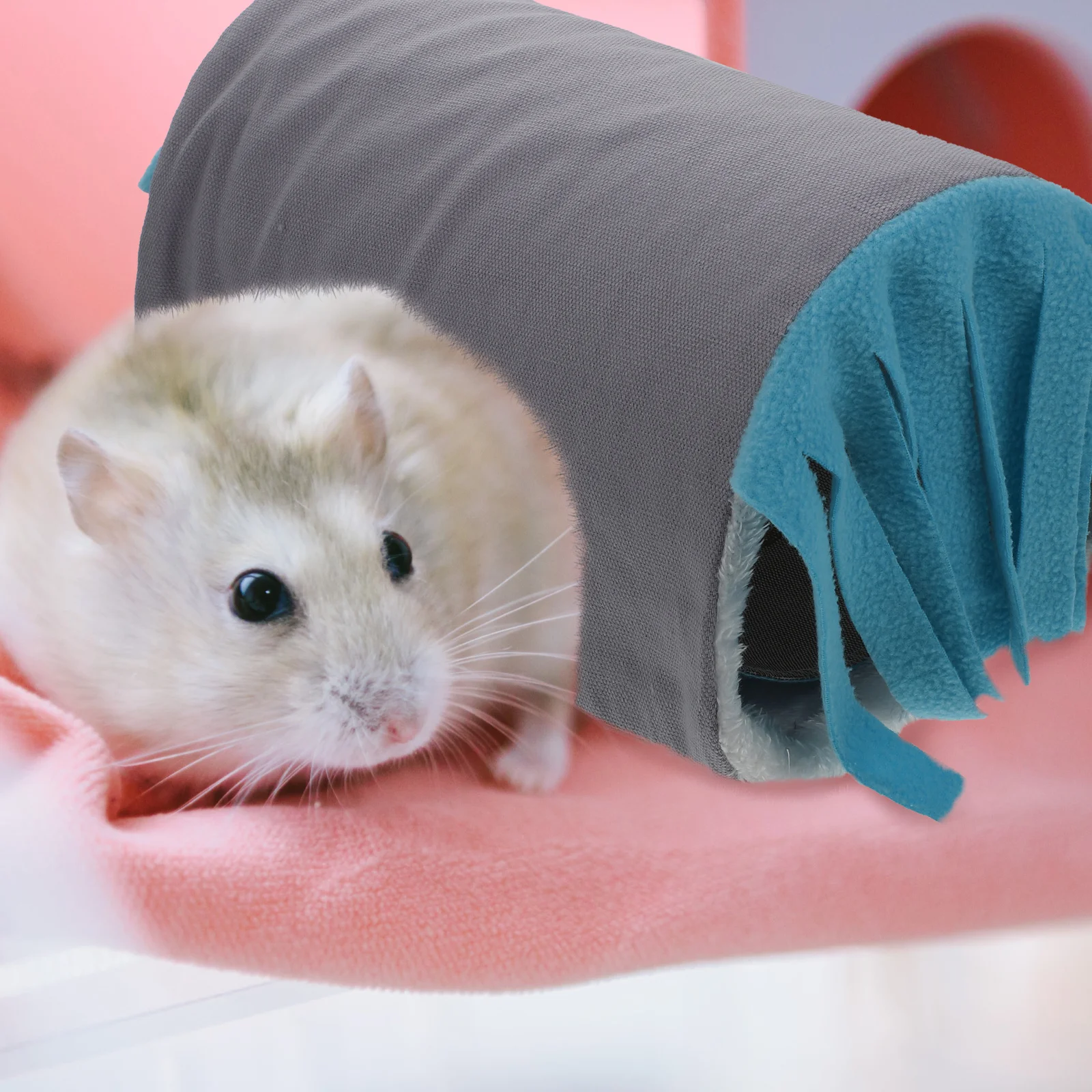 1pc Small Pet Tunnel Plaything Hamster Hideout Rabbit Hideaway Nest Tassel Fun Exploration For Guinea Pig Gerbils Pet Supplies
1pc Small Pet Tunnel Plaything Hamster Hideout Rabbit Hideaway Nest Tassel Fun Exploration For Guinea Pig Gerbils Pet Supplies