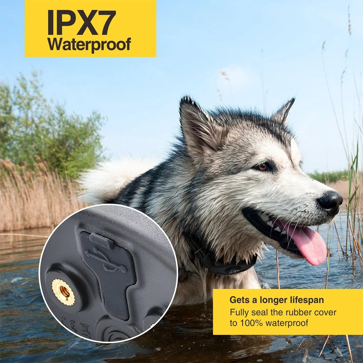 Dog Training Collar with Remote with 3 Training Modes Rechargeable Anti-Bark Collar with 4 Anti Barking Modes for All Breeds Dog
Dog Training Collar with Remote with 3 Training Modes Rechargeable Anti-Bark Collar with 4 Anti Barking Modes for All Breeds Dog