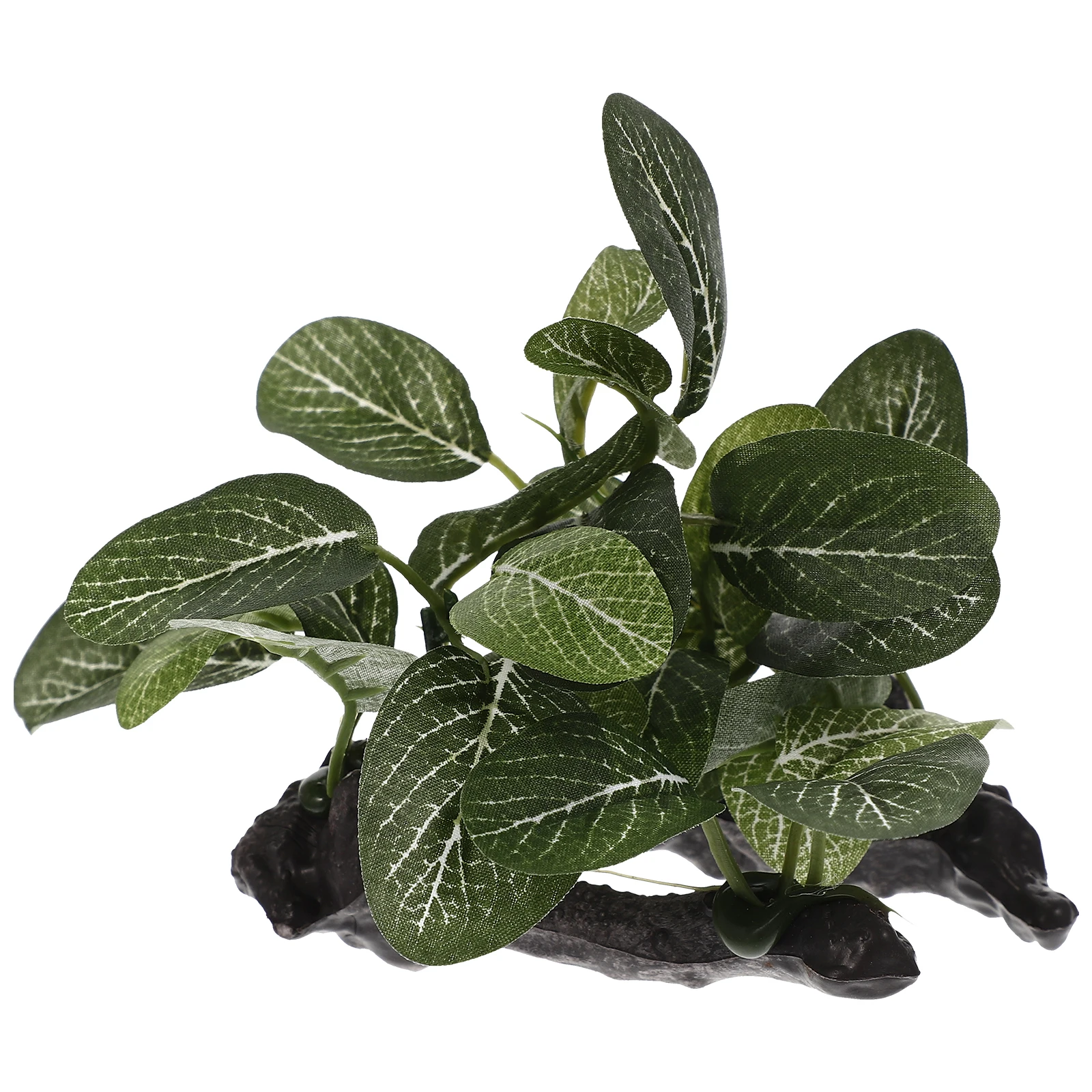 Fish Tank Decorations Artificial Water Plants Accessories Vines Aquarium Accessory
Fish Tank Decorations Artificial Water Plants Accessories Vines Aquarium Accessory