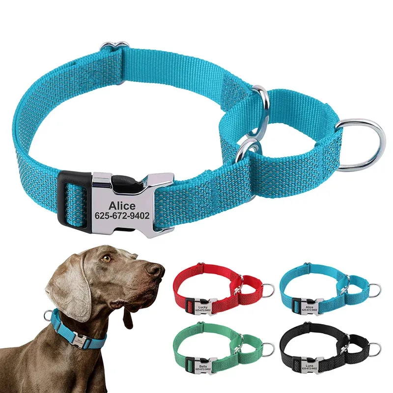 Custom Dog Martingale Collar Nylon Reflective Dog Collars With Engraving Metal Buckle Adjustable For Dogs Prevent Slipping Out
Custom Dog Martingale Collar Nylon Reflective Dog Collars With Engraving Metal Buckle Adjustable For Dogs Prevent Slipping Out