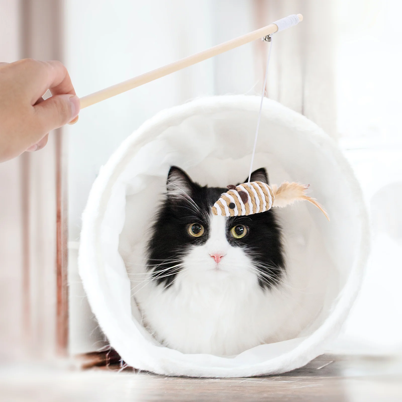 2Pcs Mouse Shape Interactive Cat Exerciser Stick Teaser for Active Play Catching Fun Bonding Entertain Cat Kitten Rod 
2Pcs Mouse Shape Interactive Cat Exerciser Stick Teaser for Active Play Catching Fun Bonding Entertain Cat Kitten Rod