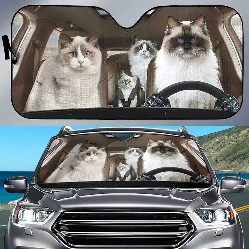 Котенок Ragdoll для семьи, для вождения автомобиля, отдыха, Солнцезащитный котенок, подарок для влюбленных, Солнцезащитный котенок для лобового стекла, ткань Оксфорд
Котенок Ragdoll для семьи, для вождения автомобиля, отдыха, Солнцезащитный котенок, подарок для влюбленных, Солнцезащитный котенок для лобового стекла, ткань Оксфорд