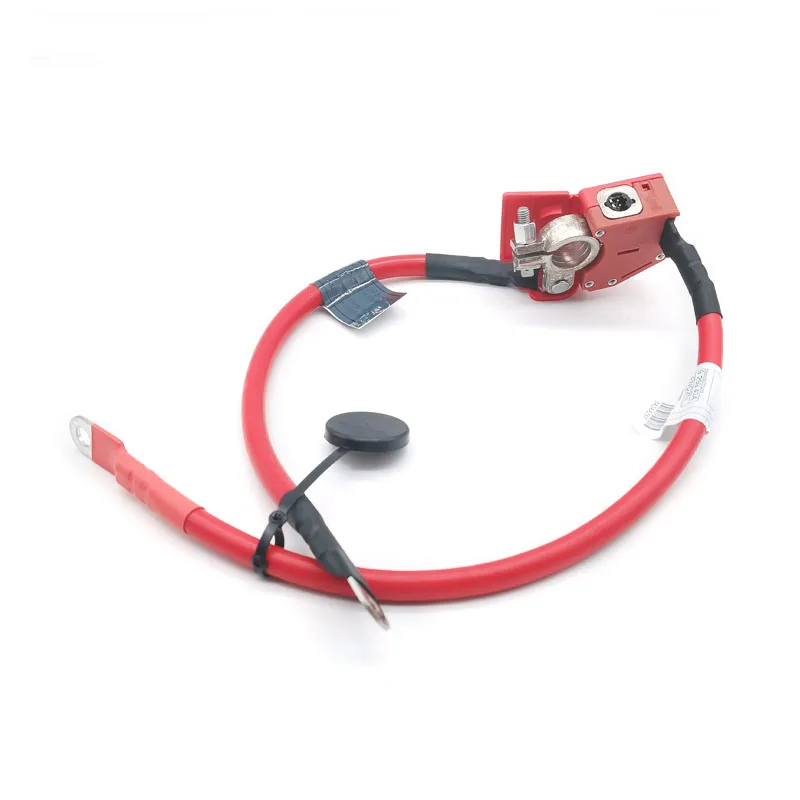 Battery Positive Fuse Cable 61129259425 61126834543 For BMW F34 F30 F31 F36 F33 F32 F80 F83 F82 320i 328i 335i 420i 430i 435i M3
Battery Positive Fuse Cable 61129259425 61126834543 For BMW F34 F30 F31 F36 F33 F32 F80 F83 F82 320i 328i 335i 420i 430i 435i M3