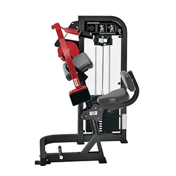 Huiti Fitness Pin Loaded Gym Equipment Strength Training Triceps Machine
Huiti Fitness Pin Loaded Gym Equipment Strength Training Triceps Machine