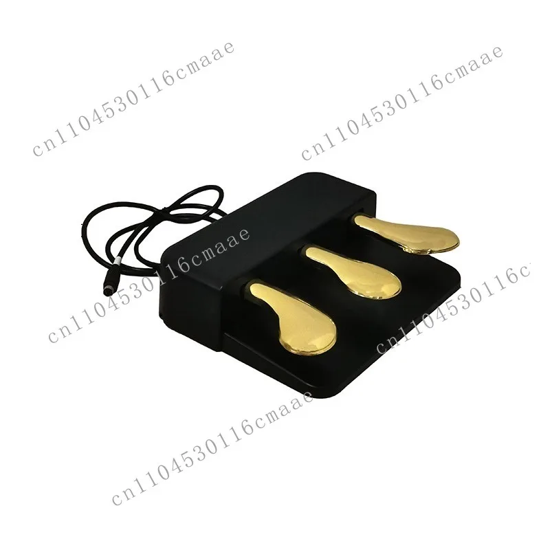 Newly upgraded sustain pedal, electric piano sustain pedal, keyboard professional foot pedal
Newly upgraded sustain pedal, electric piano sustain pedal, keyboard professional foot pedal