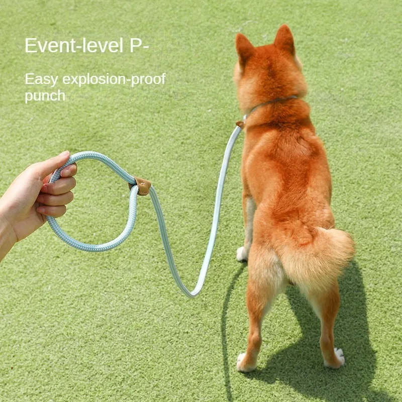 Cross-border dog leash medium and large dogs universal safety dog chain collar dog walking P chain pet supplies wholesale
Cross-border dog leash medium and large dogs universal safety dog chain collar dog walking P chain pet supplies wholesale