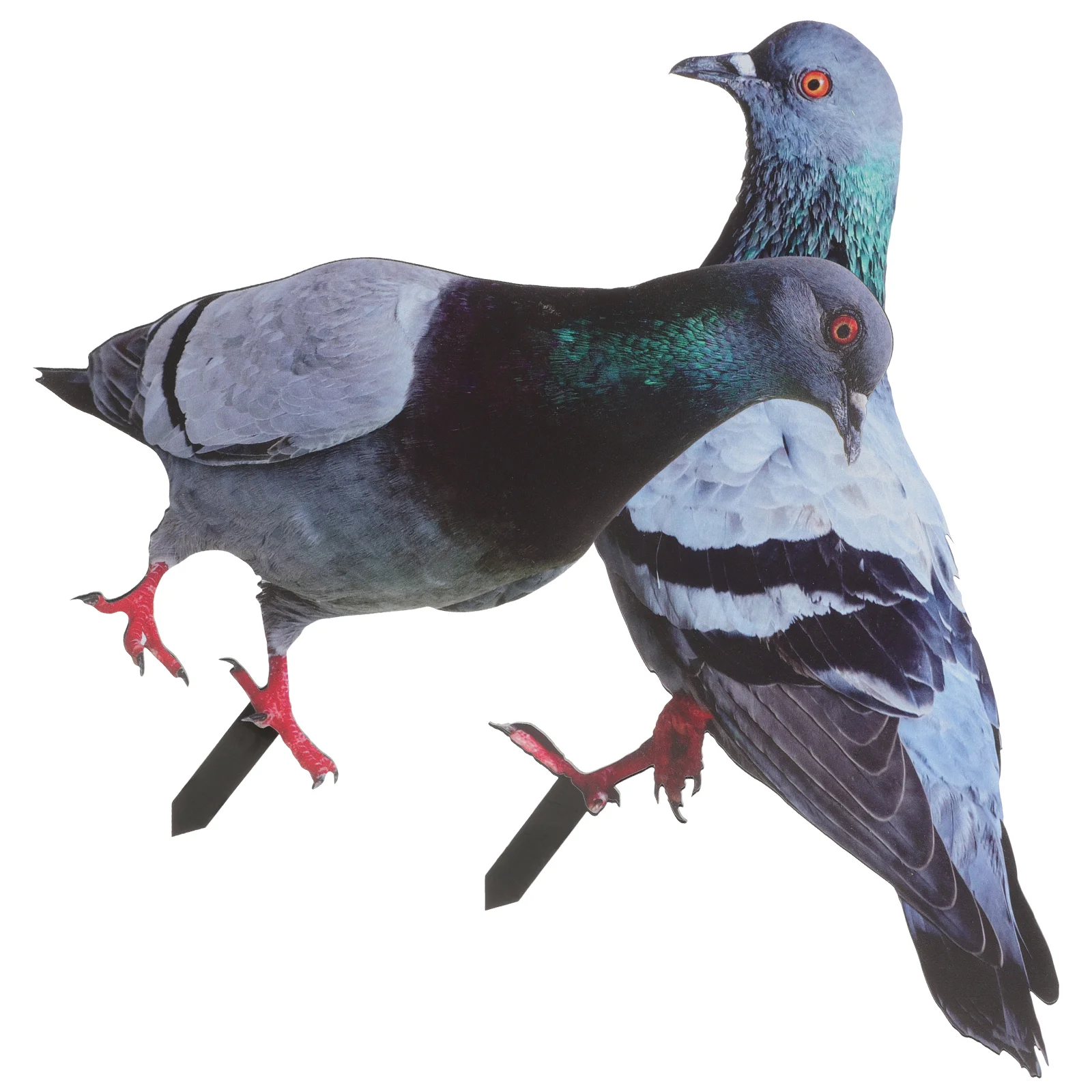 2Pcs Acrylic Decoration Garden Stakes Lawn naments Outdoor Garden Decoration Stakes Yard Sign Sculpture Birds
2Pcs Acrylic Decoration Garden Stakes Lawn naments Outdoor Garden Decoration Stakes Yard Sign Sculpture Birds