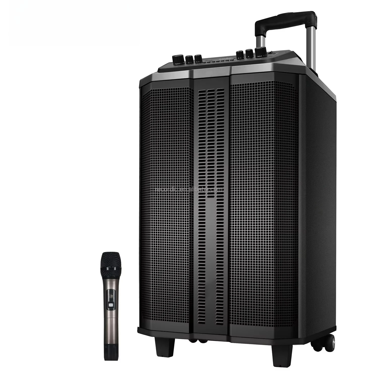 Outdoor Speaker with Wireless Microphone for Events and Gatherings
Outdoor Speaker with Wireless Microphone for Events and Gatherings