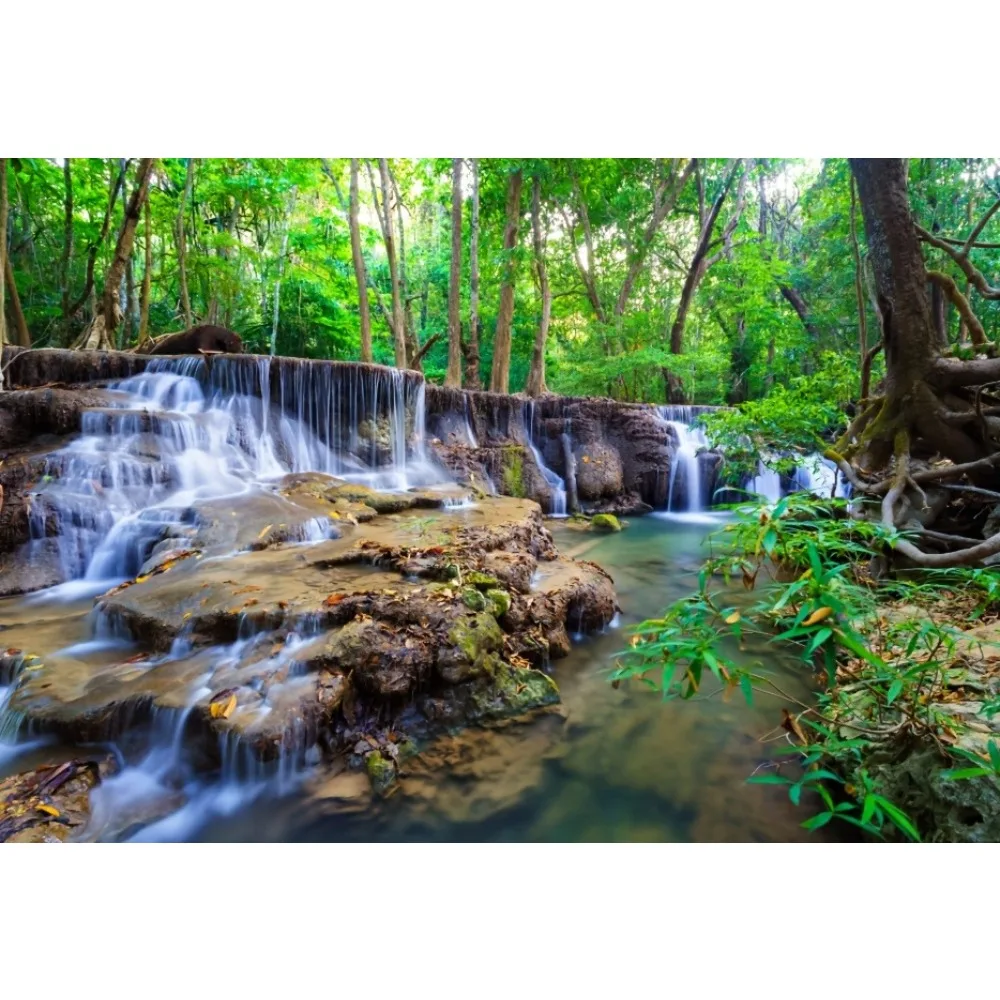 500/1000/1200/2000PCS Puzzles Forest Stream Natural Landscape Painting Jigsaw Leisure and Relaxation As A Holiday Birthday Gift
500/1000/1200/2000PCS Puzzles Forest Stream Natural Landscape Painting Jigsaw Leisure and Relaxation As A Holiday Birthday Gift