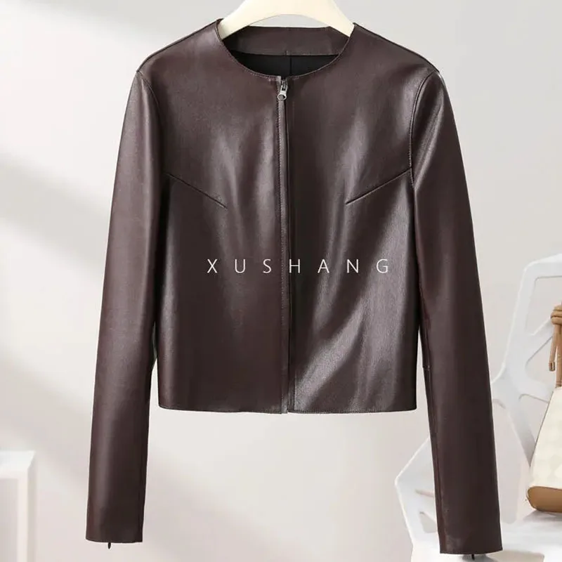Ladies Spring Autumn Leather Jacket Short Loose Joker Jacket Casual Comfortable Zipper Leather Jacket Fashion Leather Coat
Ladies Spring Autumn Leather Jacket Short Loose Joker Jacket Casual Comfortable Zipper Leather Jacket Fashion Leather Coat