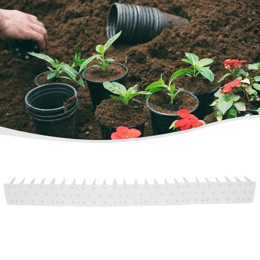 Anti-bird Thorn Bird Spikes High Long PP Against Birds Cat Deterrent Pigeon Deterrent 45*4.5*3.7cm Bird Deterrent
Anti-bird Thorn Bird Spikes High Long PP Against Birds Cat Deterrent Pigeon Deterrent 45*4.5*3.7cm Bird Deterrent