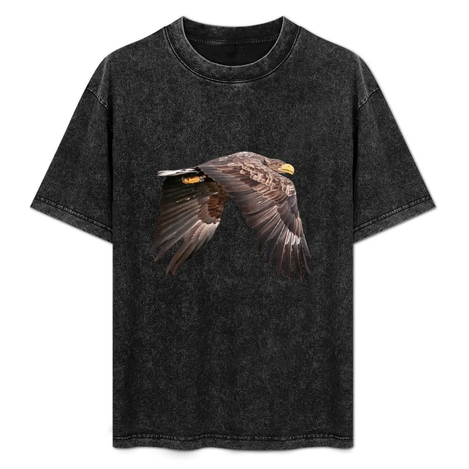 White tailed Eagle T-Shirt Simple Graphic Design T-Shirt
White tailed Eagle T-Shirt Simple Graphic Design T-Shirt