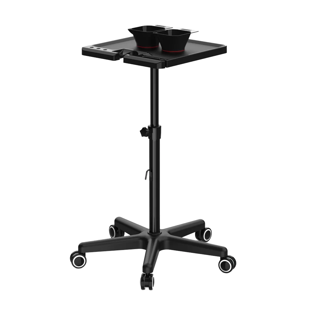 Mini Modern Salon Trolley For Warehouse Application
Mini Modern Salon Trolley For Warehouse Application