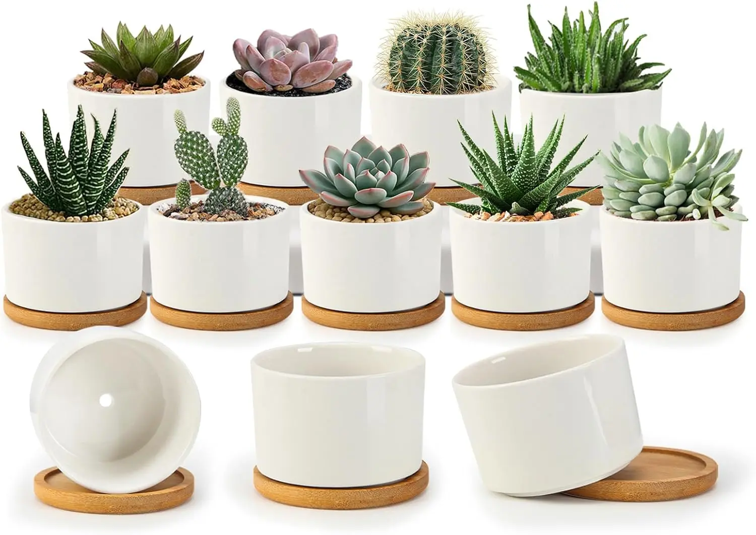 Succulent Pots 3.1 Inch,Succulent Planters 12 Pack,Small Pots for Plants with Drainage and Tray,White Ceramic Flower Pla
Succulent Pots 3.1 Inch,Succulent Planters 12 Pack,Small Pots for Plants with Drainage and Tray,White Ceramic Flower Pla