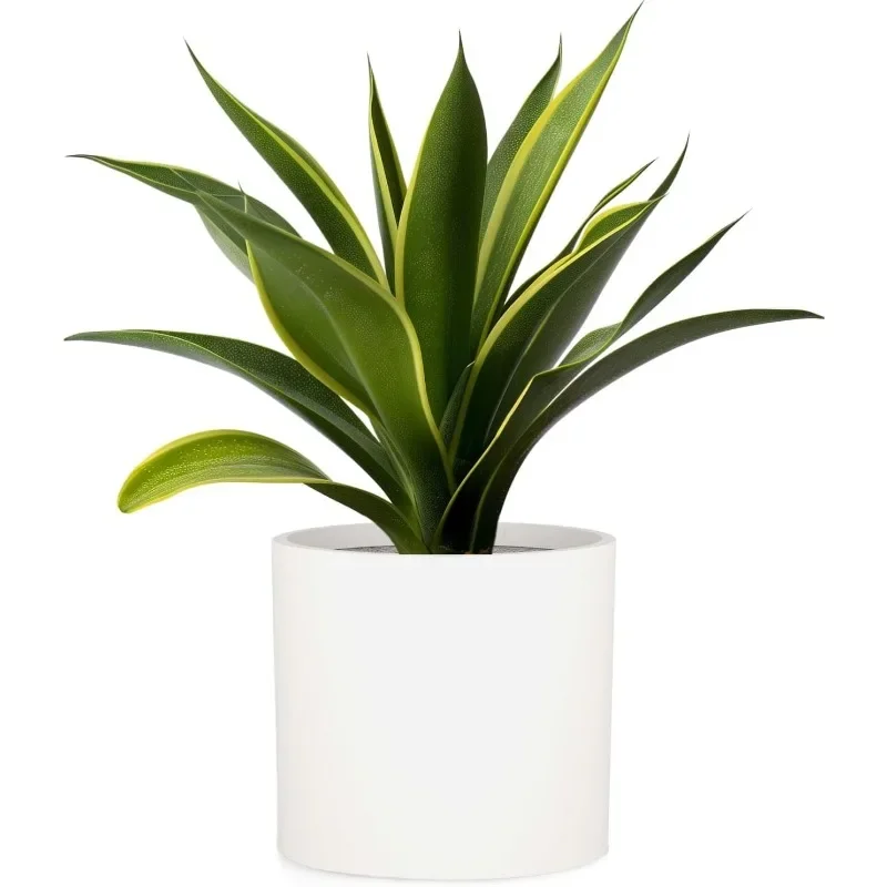 Large 12 Inch Planter — Premium Lightweight Fiberstone Matte White Plant Pot w Drainage Plug; Large Indoor & Outdoor
Large 12 Inch Planter — Premium Lightweight Fiberstone Matte White Plant Pot w Drainage Plug; Large Indoor & Outdoor