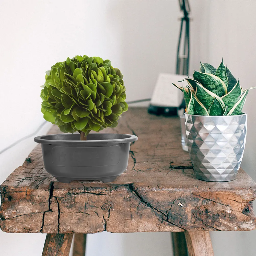 3 Pcs Large Flower Pot Potted Plant Bonsai with Drainage Artificial Training Planter Balcony Pp Hole
3 Pcs Large Flower Pot Potted Plant Bonsai with Drainage Artificial Training Planter Balcony Pp Hole