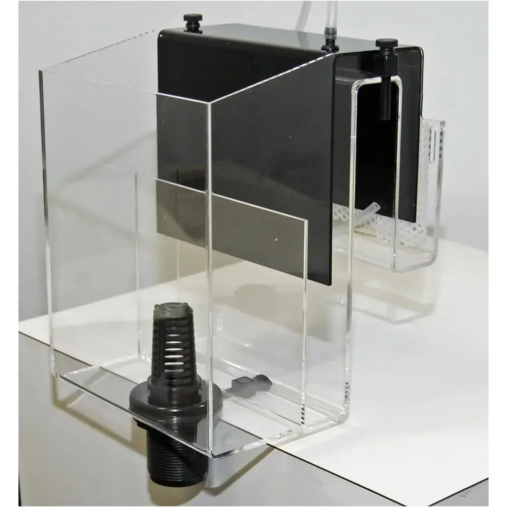 600-Liter Overflow Box Aquarium with Continuous Sip System
600-Liter Overflow Box Aquarium with Continuous Sip System