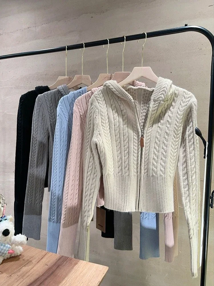 Korean Fashion Knit Long Sleeve Sweater Women Vintage Casual Solid Hooded Cardigan Female Retro Chic Zipper Thin Knitwear New
Korean Fashion Knit Long Sleeve Sweater Women Vintage Casual Solid Hooded Cardigan Female Retro Chic Zipper Thin Knitwear New