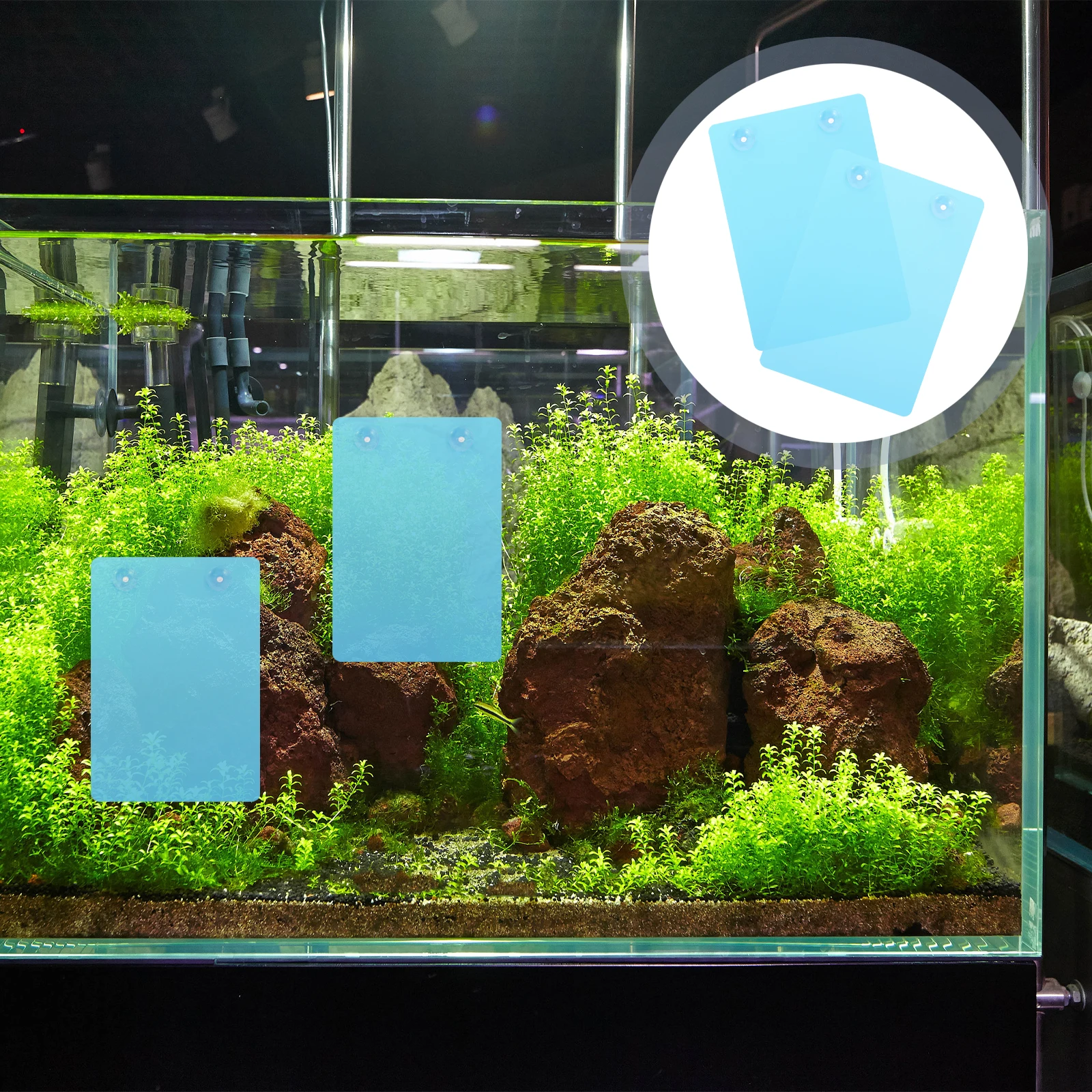2 Pcs Breeding with Suction Cups for Fish Tank Blue Plastic Spawning Plate Lightweight Aquarium Supplies
2 Pcs Breeding with Suction Cups for Fish Tank Blue Plastic Spawning Plate Lightweight Aquarium Supplies