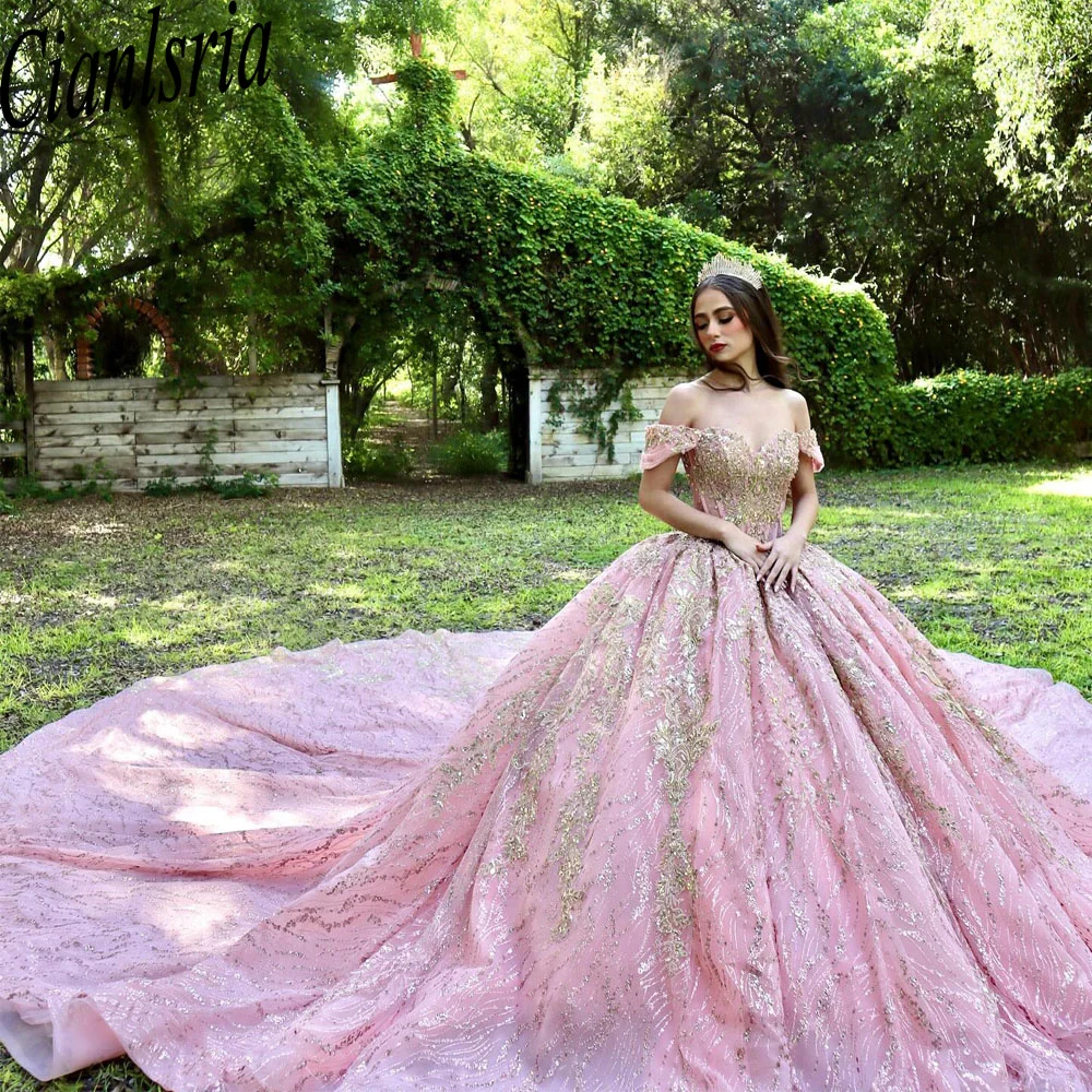 Blush Pink Quinceanera Dress Ball Gown 2024 Floral Lace Appliques Beading Sweet 16 15 Dress Vestidos De
Blush Pink Quinceanera Dress Ball Gown 2024 Floral Lace Appliques Beading Sweet 16 15 Dress Vestidos De