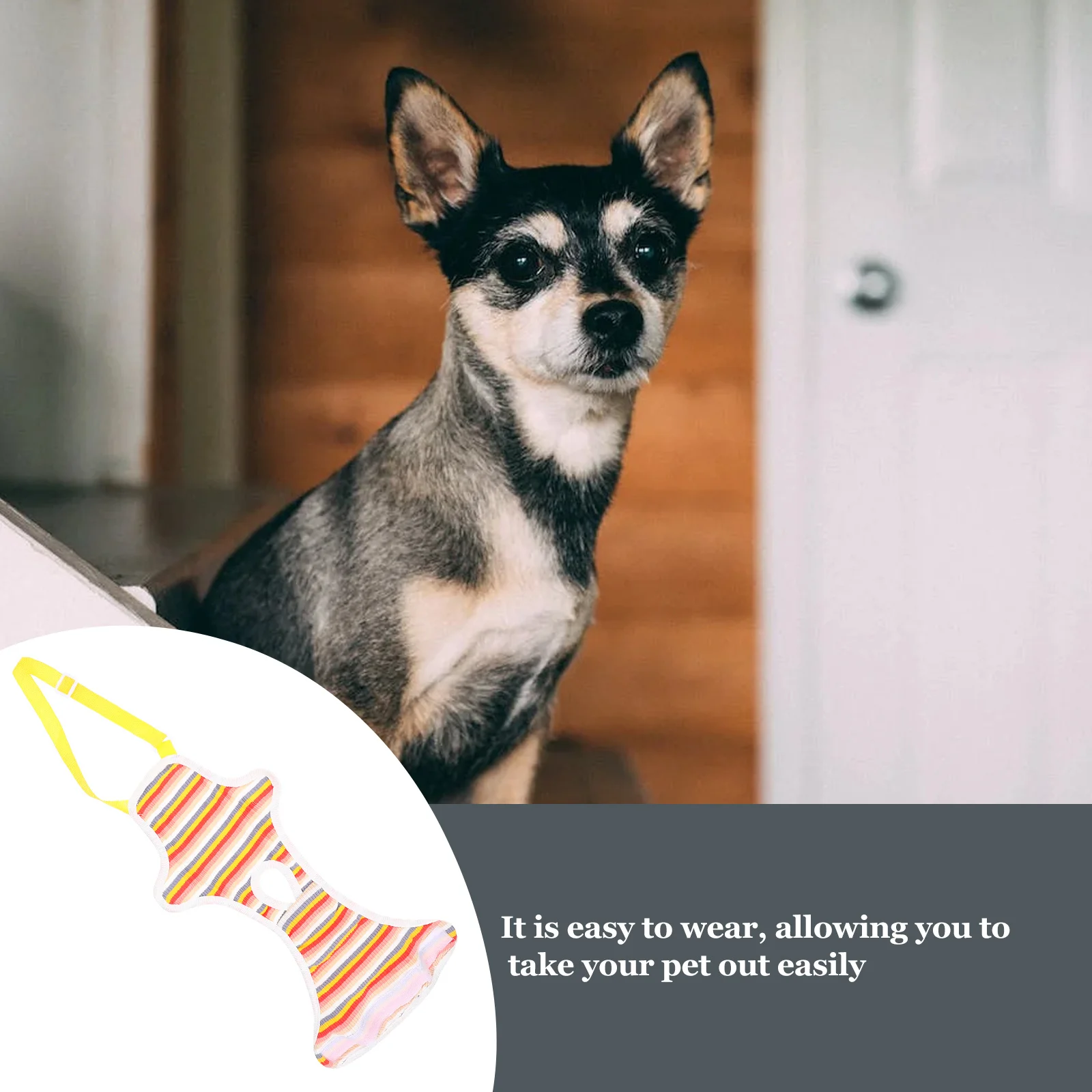 1Pcs Dog Physiology Pants Soft Comfortable Female Pet Dog Diaper Leakproof Sanitary Pants Puppy Diaper Washable
1Pcs Dog Physiology Pants Soft Comfortable Female Pet Dog Diaper Leakproof Sanitary Pants Puppy Diaper Washable