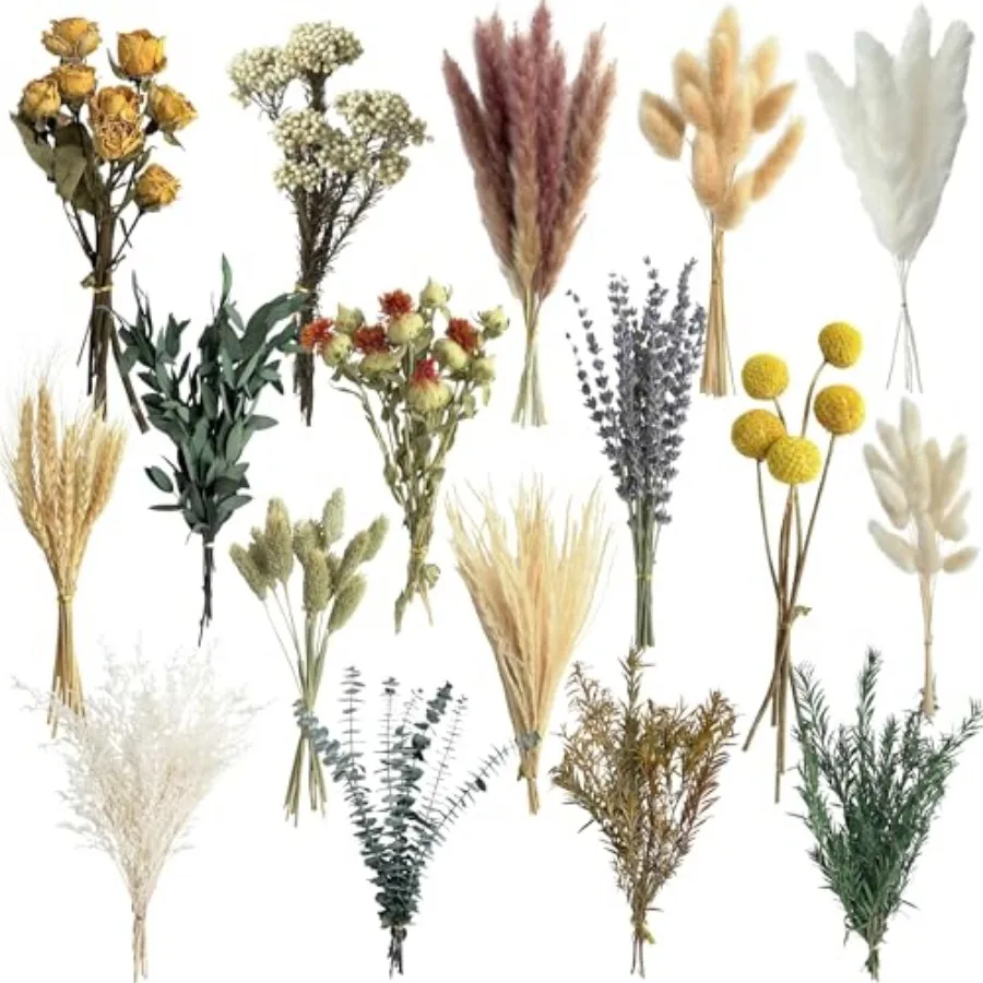 16 Varieties Dried Flowers Set, Mini Natural Dried Flowers Bulk with Stems for Vase Fillers, DIY Crafts, Wreath Making, Rustic
16 Varieties Dried Flowers Set, Mini Natural Dried Flowers Bulk with Stems for Vase Fillers, DIY Crafts, Wreath Making, Rustic
